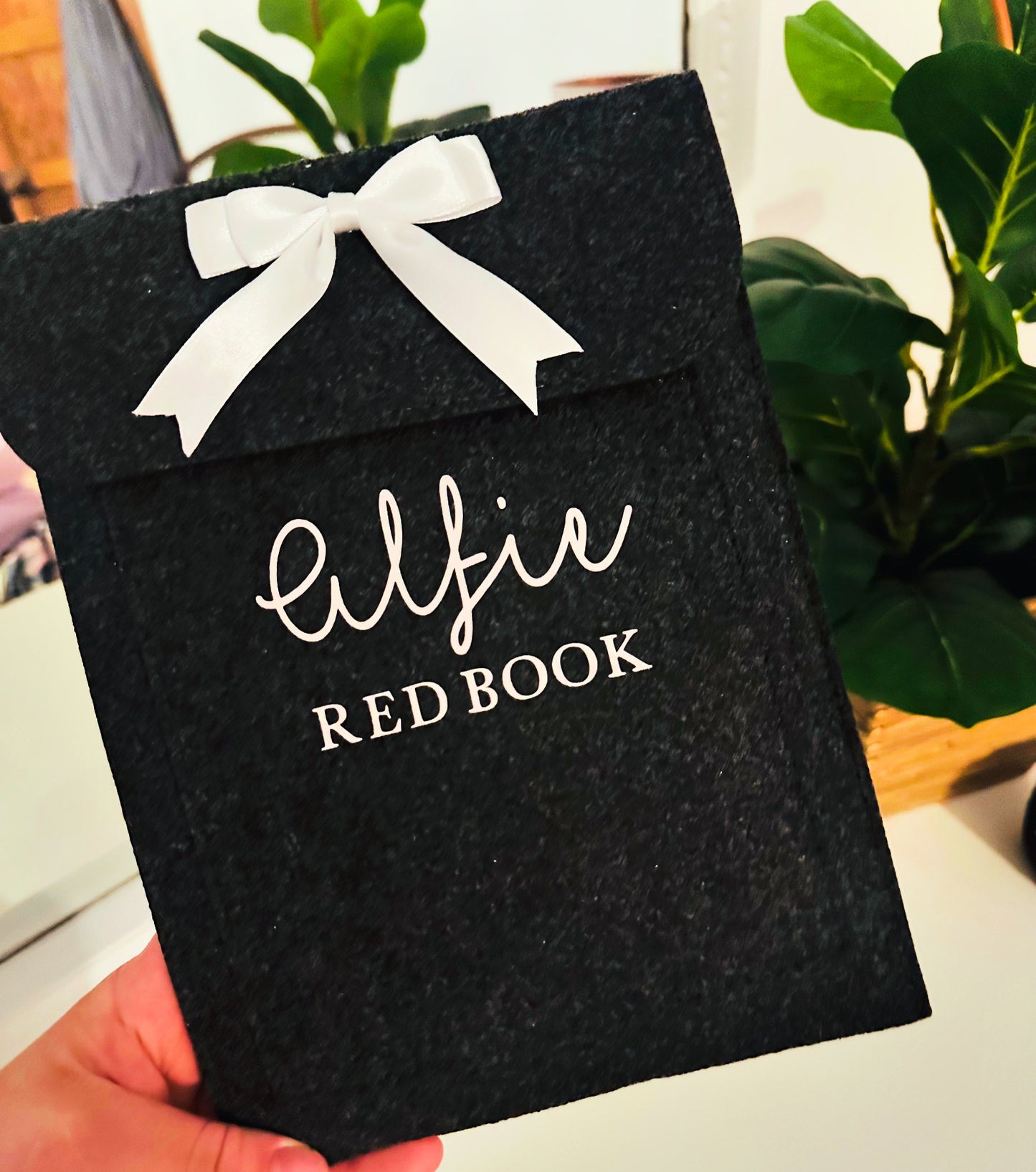 Red Book Folder
